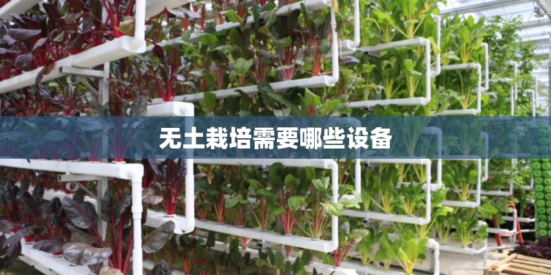 无土栽培需要哪些设备 无土栽培需要哪些设备