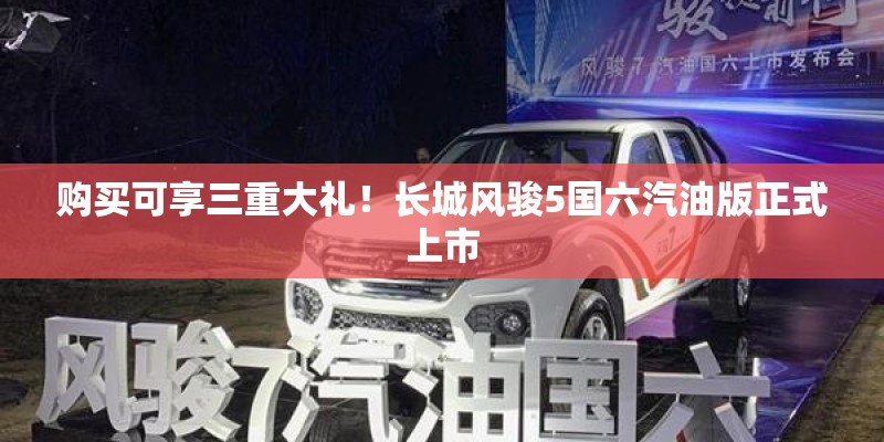 购买可享三重大礼！长城风骏5国六汽油版正式上市
