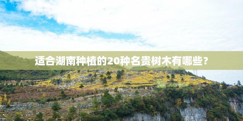 适合湖南种植的20种名贵树木有哪些？