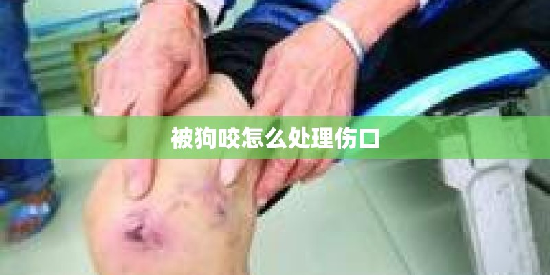 被狗咬怎么处理伤口