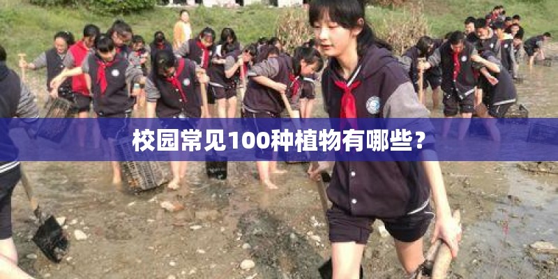 校园常见100种植物有哪些？