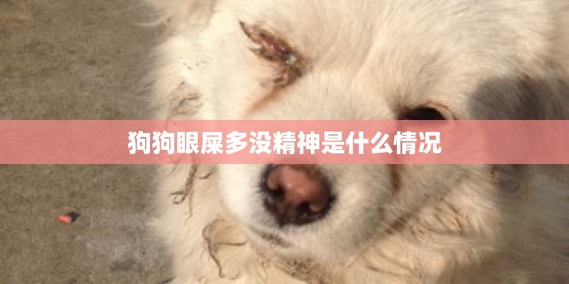 狗狗眼屎多没精神是什么情况