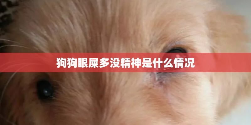 狗狗眼屎多没精神是什么情况
