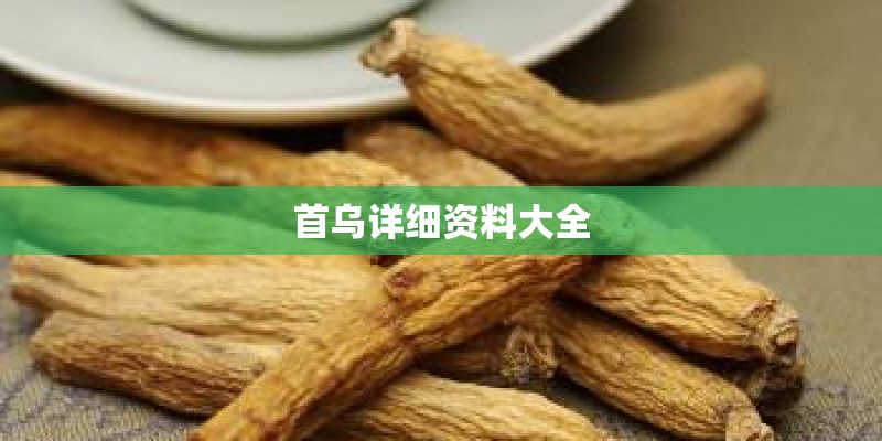 首乌详细资料大全