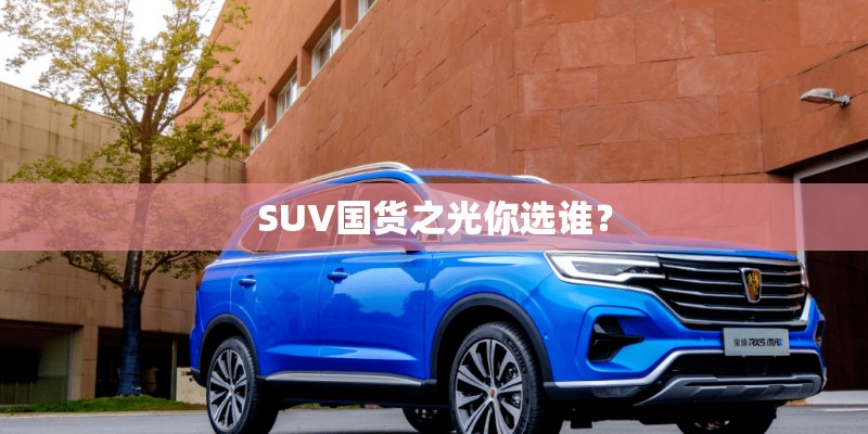 SUV国货之光你选谁？