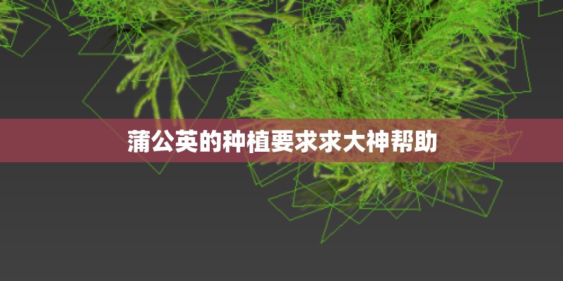 蒲公英的种植要求求大神帮助