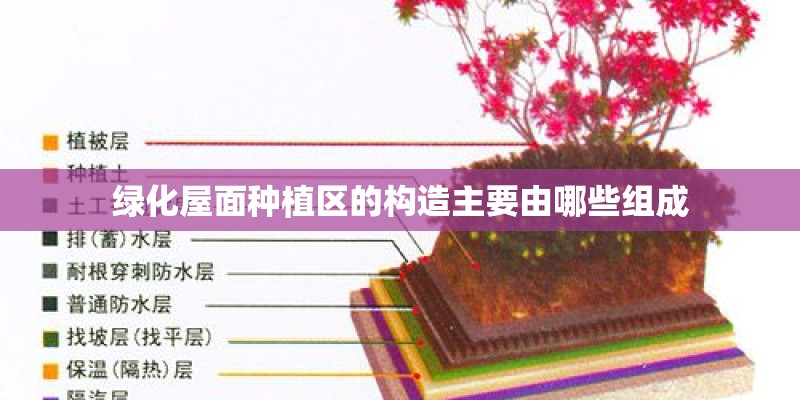 绿化屋面种植区的构造主要由哪些组成