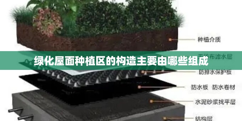 绿化屋面种植区的构造主要由哪些组成