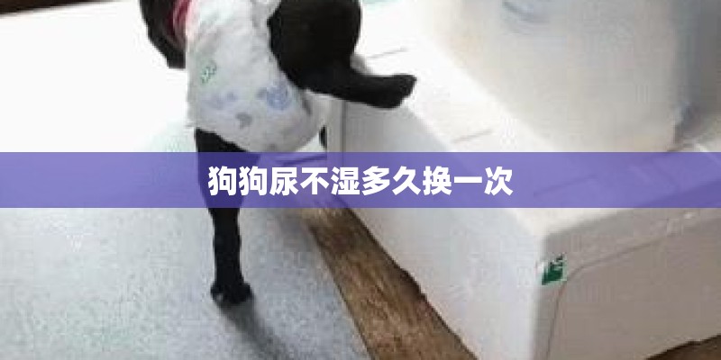 狗狗尿不湿多久换一次