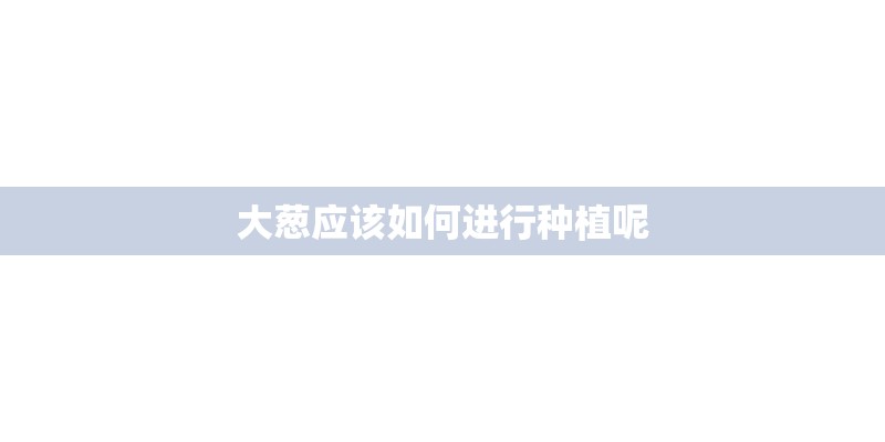 大葱应该如何进行种植呢