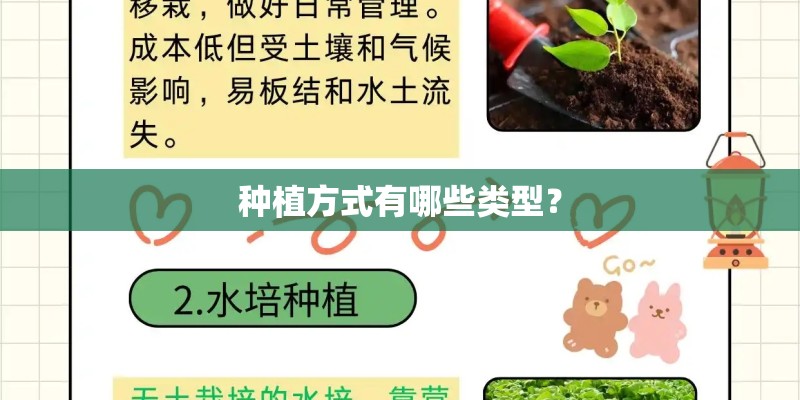 种植方式有哪些类型？