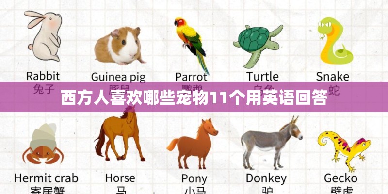 西方人喜欢哪些宠物11个用英语回答