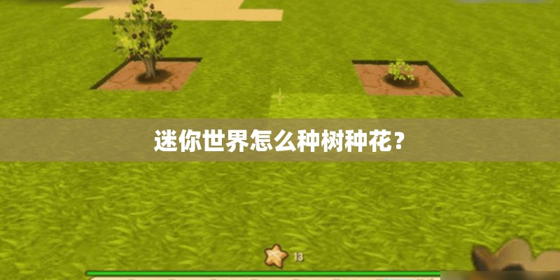 迷你世界怎么种树种花？