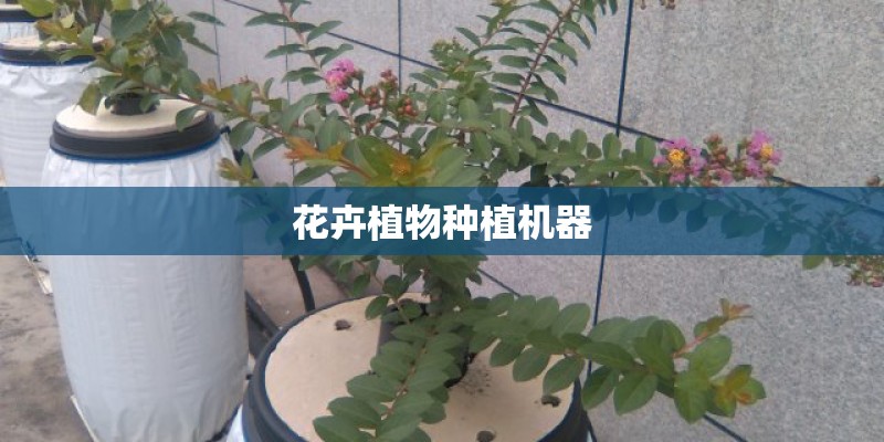 花卉植物种植机器