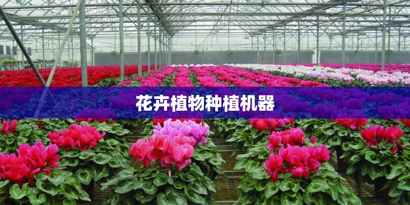 花卉植物种植机器