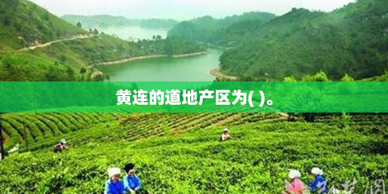 黄连的道地产区为( )。