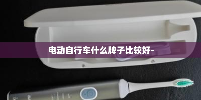 电动自行车什么牌子比较好-