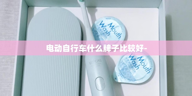 电动自行车什么牌子比较好-