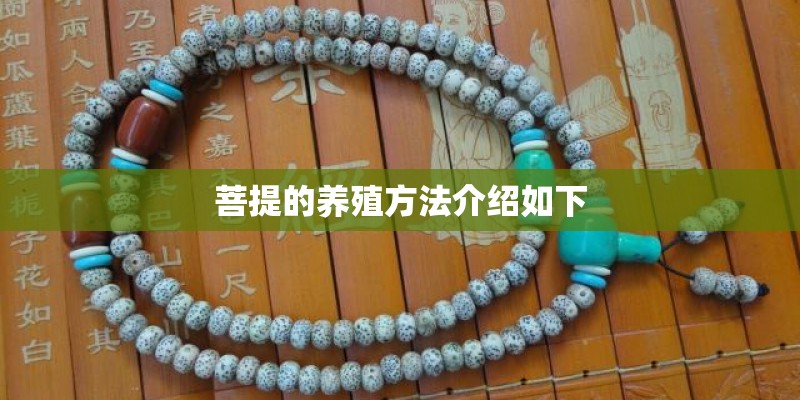菩提的养殖方法介绍如下