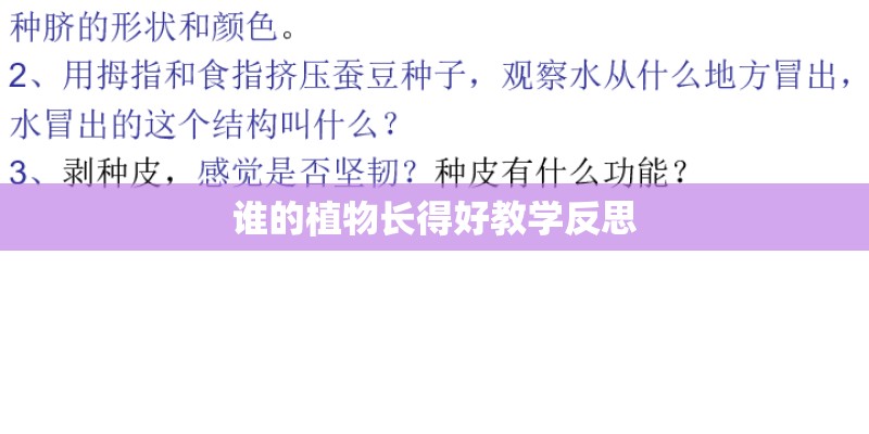 谁的植物长得好教学反思