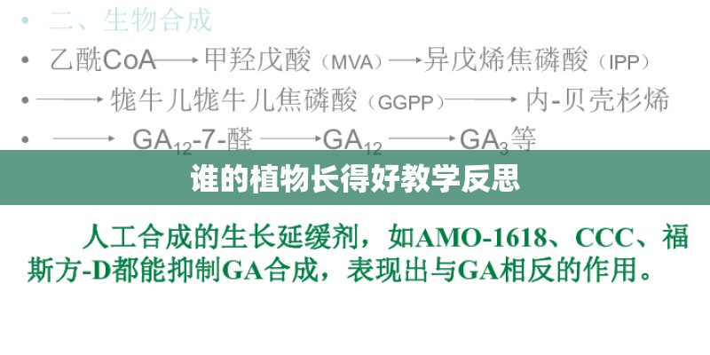 谁的植物长得好教学反思