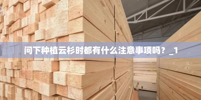 问下种植云杉时都有什么注意事项吗？_1