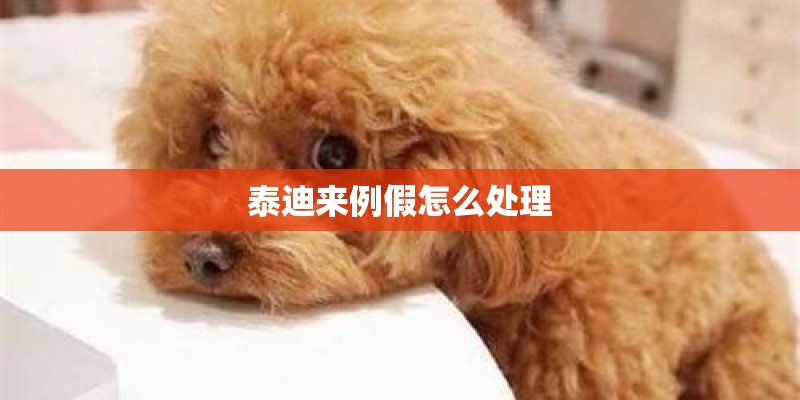 泰迪来例假怎么处理