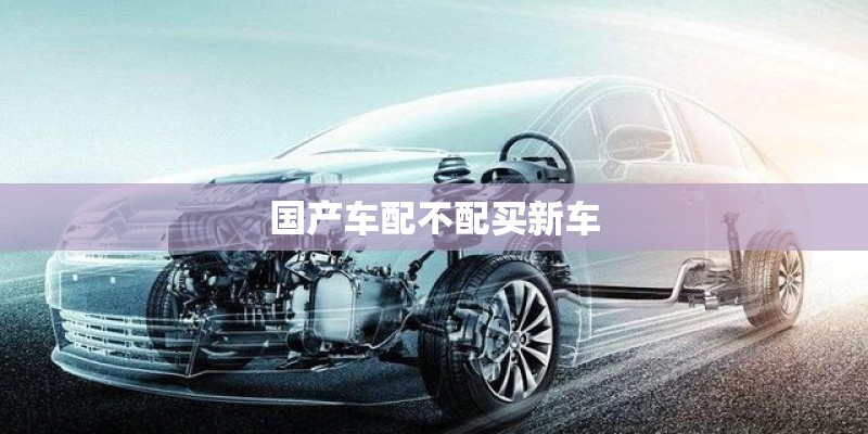国产车配不配买新车