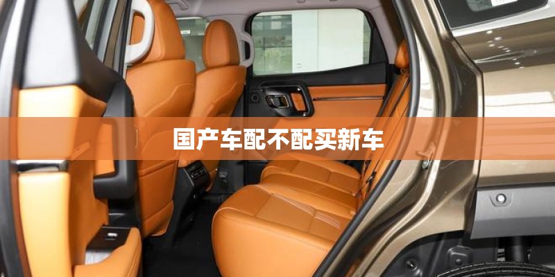 国产车配不配买新车