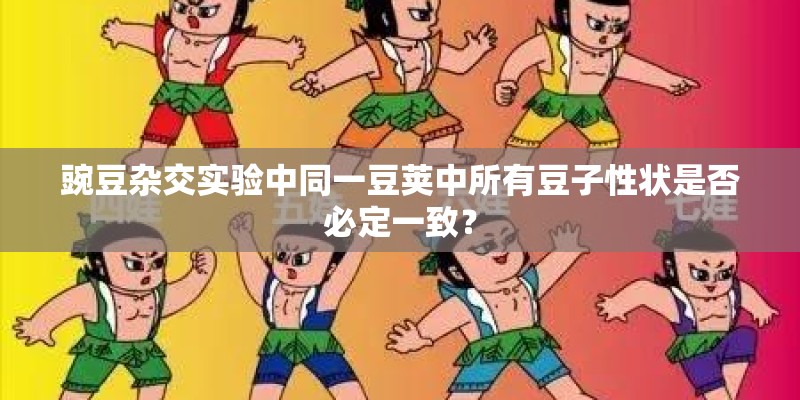 豌豆杂交实验中同一豆荚中所有豆子性状是否必定一致？