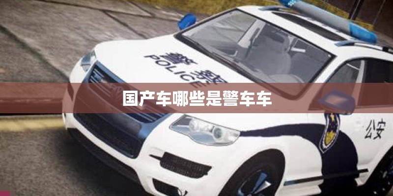 国产车哪些是警车车