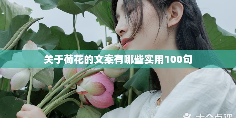 关于荷花的文案有哪些实用100句