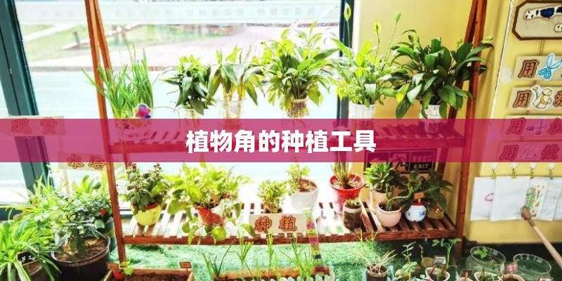 植物角的种植工具