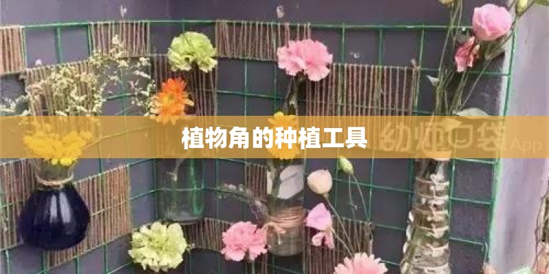 植物角的种植工具