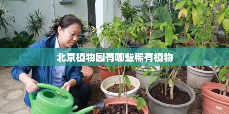 北京植物园有哪些稀有植物