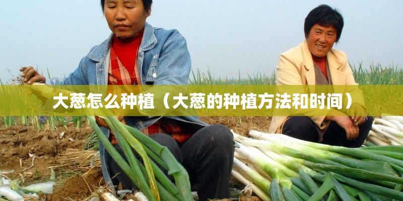 大葱怎么种植（大葱的种植方法和时间）
