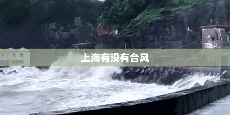 上海有没有台风