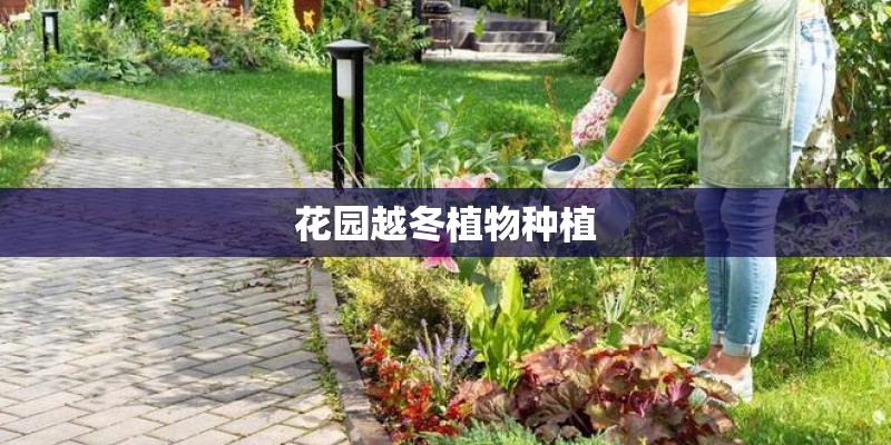 花园越冬植物种植