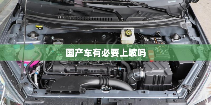 国产车有必要上坡吗