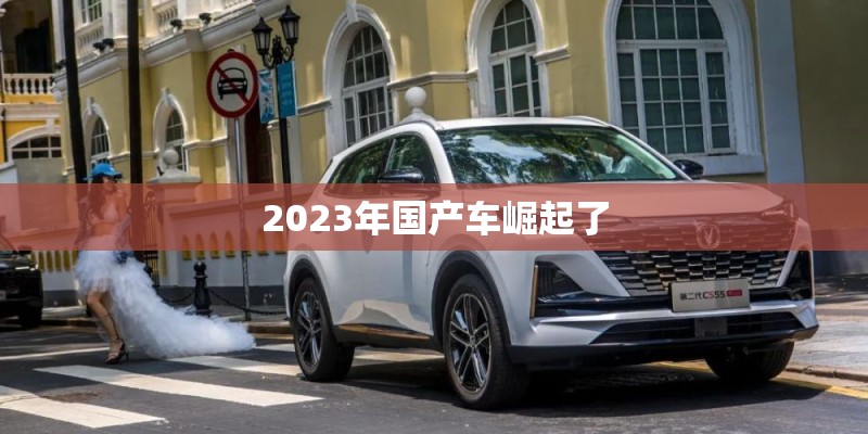 2023年国产车崛起了