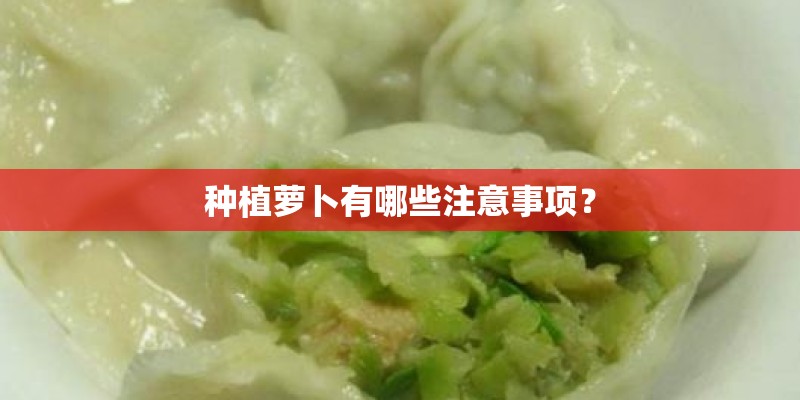 种植萝卜有哪些注意事项？