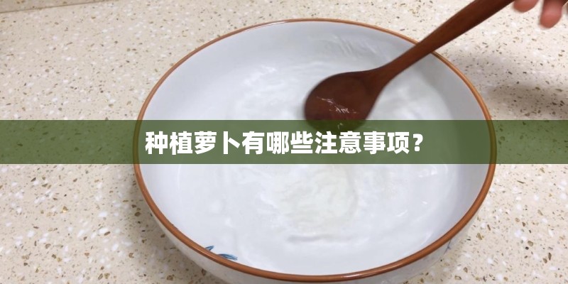 种植萝卜有哪些注意事项？