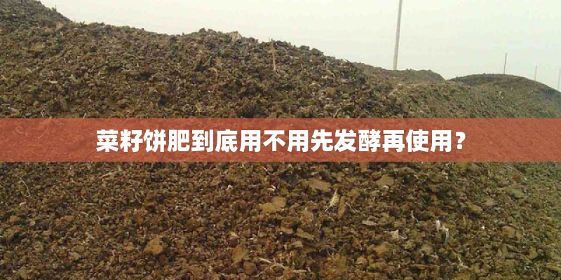 菜籽饼肥到底用不用先发酵再使用？
