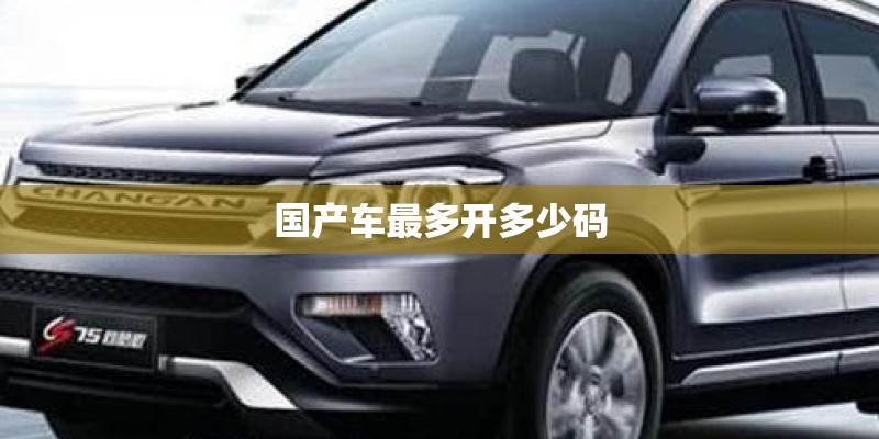 国产车最多开多少码