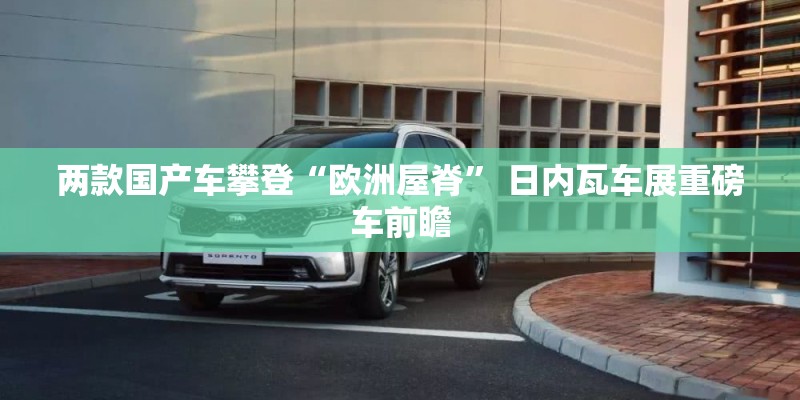 两款国产车攀登“欧洲屋脊” 日内瓦车展重磅车前瞻