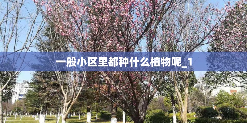 一般小区里都种什么植物呢_1