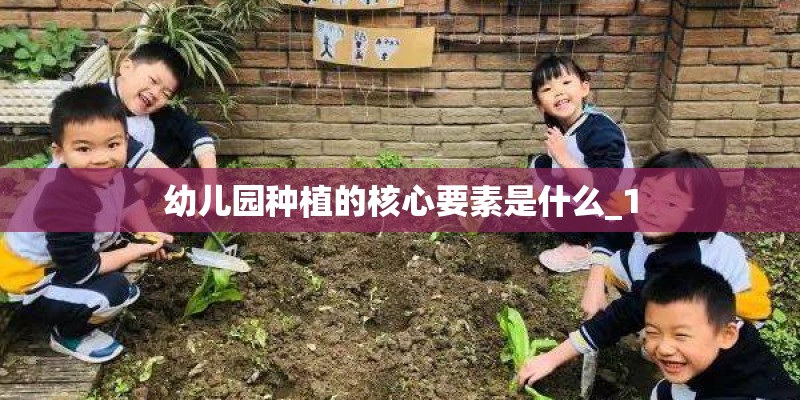 幼儿园种植的核心要素是什么_1