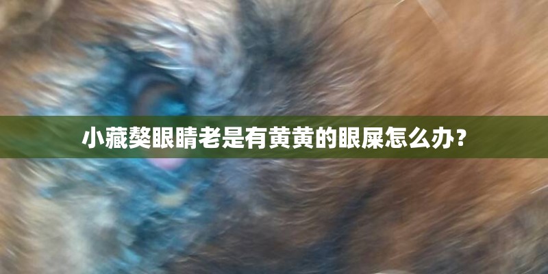 油牡丹种植气候条件