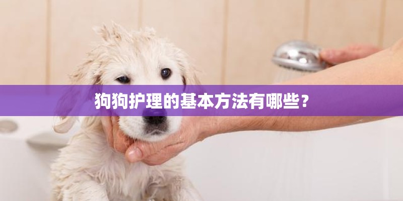 狗狗护理的基本方法有哪些？
