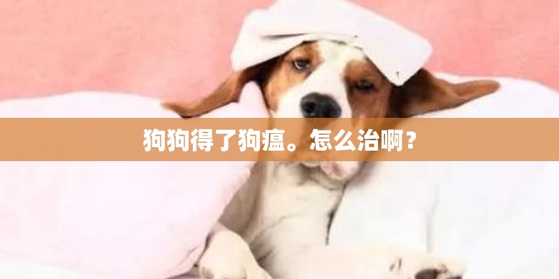 狗狗得了狗瘟。怎么治啊？